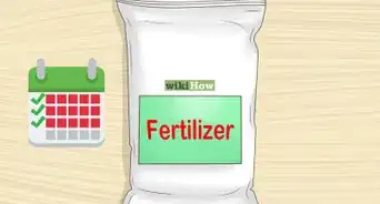 Grow Tomatoes Upside Down