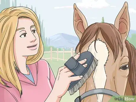 Image titled Clean a Horse Step 6