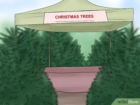 Image titled Create a Christmas Tree Forest Step 13