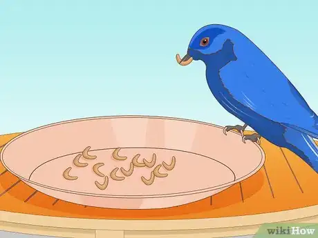 Image titled Attract Eastern Bluebirds Step 13