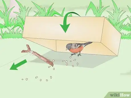 Image titled Trap a Robin Bird Step 8