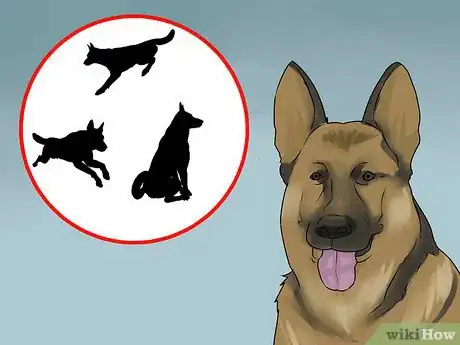 Image titled Avoid Liability Issues in K9 Police Units Step 6