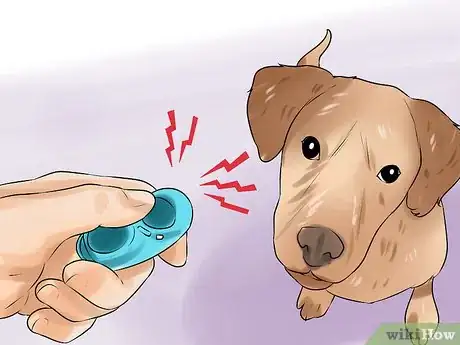 Image titled Modify Tricks Based on an Old Dog's Physical Limitations Step 9