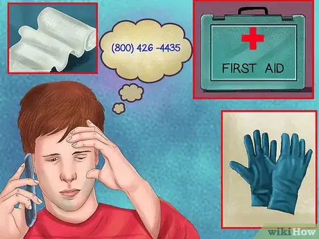 Image titled Keep Your Dog Safe from Wild Animals Step 5