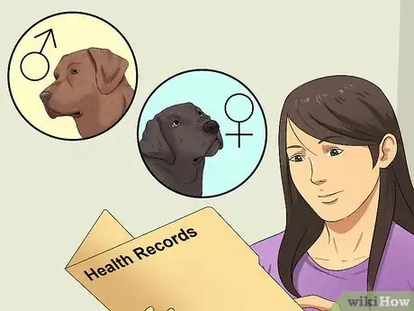 Image titled Select a Labrador Retriever Step 15