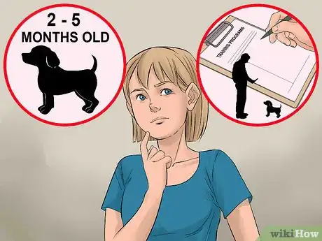 Image titled Find Low Cost Dog Training Step 1