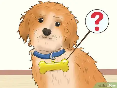 Image titled Find Unique Dog Names Step 1