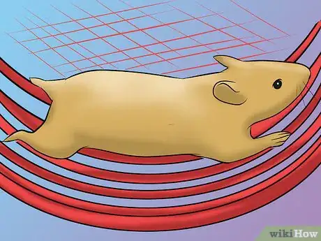 Image titled Have a Good Time With Your Hamster Step 5