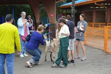 Image titled DAK Affection Station