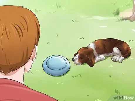 Image titled Love Your Puppy Step 17