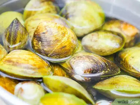 Image titled Make New England Clam Chowder Step 1