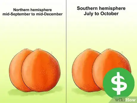 Image titled Eat a Tangelo Step 8