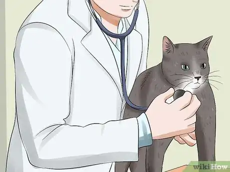 Image titled Protect Your Cat from Household Hazards Step 15