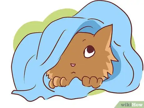 Image titled Bathe a British Shorthair Step 12