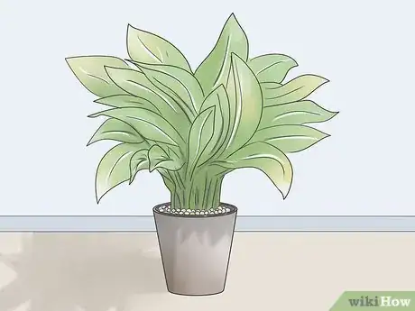 Image titled Have Fun with Water Beads Step 16