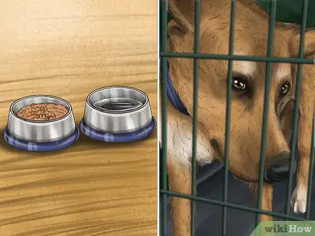 Image titled Approach an Unfamiliar Dog Step 6