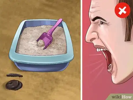 Image titled Train Your Cat with Positive Reinforcement Step 7