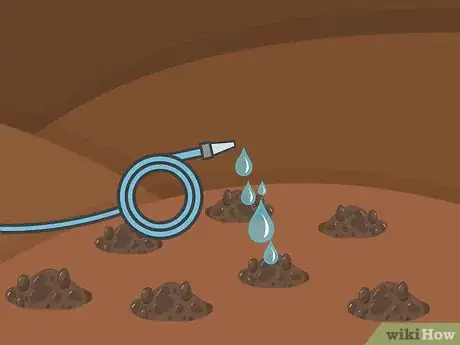 Image titled Plant Narcissus Bulbs Step 12