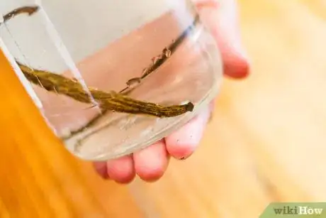 Image titled Make Vanilla Rum Step 4