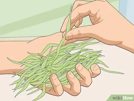 Image titled Choose Guinea Pig Food Step 18