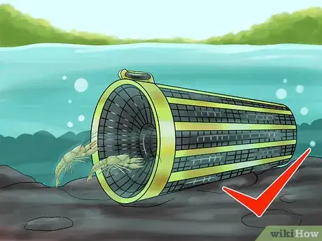 Image titled Catch a Crayfish Step 5