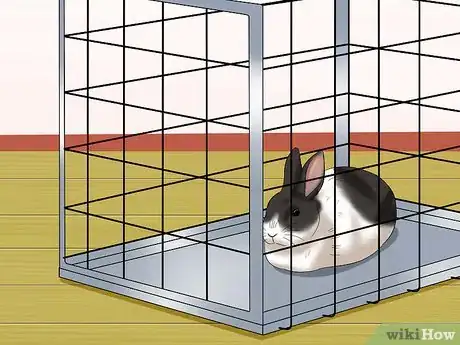 Image titled Socialize Your Rabbit Step 3