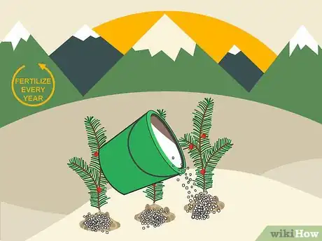 Image titled Plant Yew Step 11