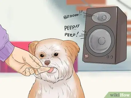 Image titled Bond with a Shy Dog Step 11