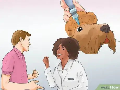 Image titled Diagnose Glaucoma in Poodles Step 9
