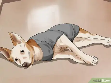 Image titled Help a Dog Overcome a Fear of Fireworks or Thunder Step 4