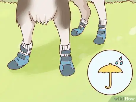 Image titled Make a Rat Terrier Warmer Step 12