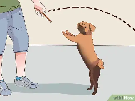 Image titled Exercise With Your Dog Step 18