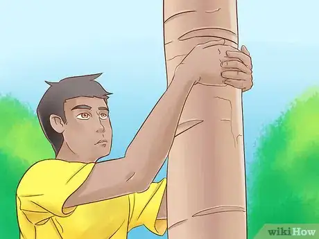 Image titled Climb a Tree With No Branches Step 3