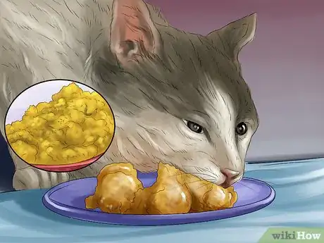 Image titled Avoid Feeding Your Cat Harmful People Foods Step 14
