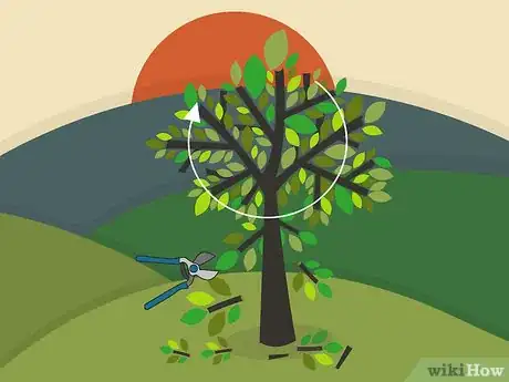 Image titled Prune Walnut Trees Step 08