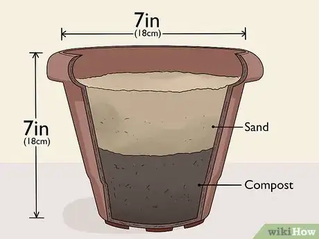 Image titled Take Softwood Cuttings Step 6