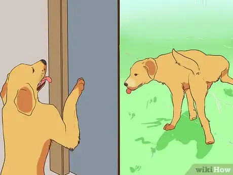 Image titled Have Fun with Your Dog Indoors Step 13