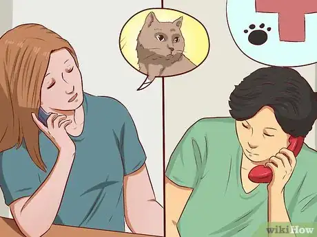Image titled Get a Cat for a Pet Step 15