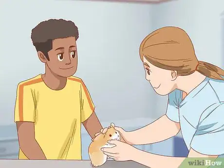 Image titled Diagnose Geriatric Diseases in Hamsters Step 5