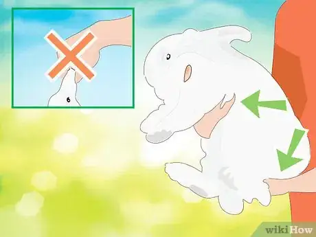 Image titled Address Biting and Aggressive Behavior in a Rabbit Step 11