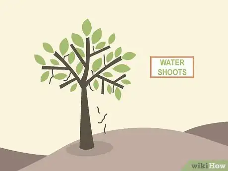 Image titled Prune Citrus Trees Step 10