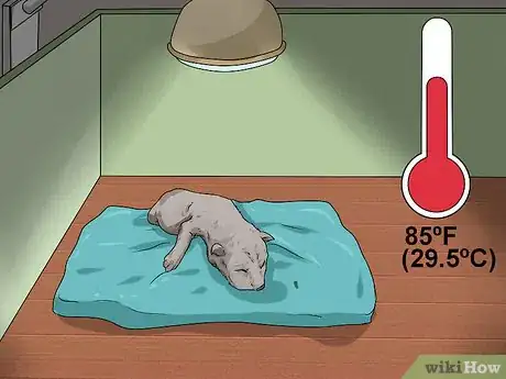 Image titled Whelp and Raise a Single Puppy Step 13