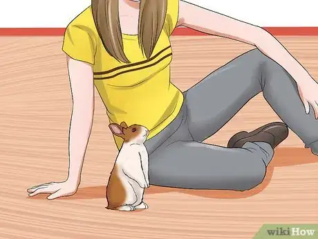 Image titled Win a Rabbit's Trust Step 7