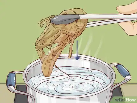 Image titled Make a Connecticut Lobster Roll Step 2