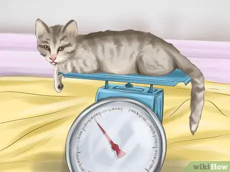 Image titled Keep Your Dog or Cat at Its Correct Weight Step 5