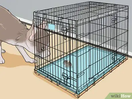 Image titled Keep Pet Mice Safe from Other Pets Step 9