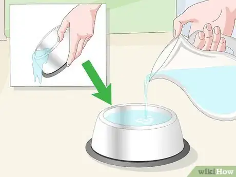 Image titled Keep a Dog Hydrated Step 4
