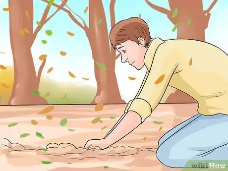 Image titled Plant Allium Bulbs Step 8