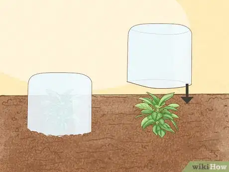 Image titled Reuse Milk Jugs in the Garden Step 5