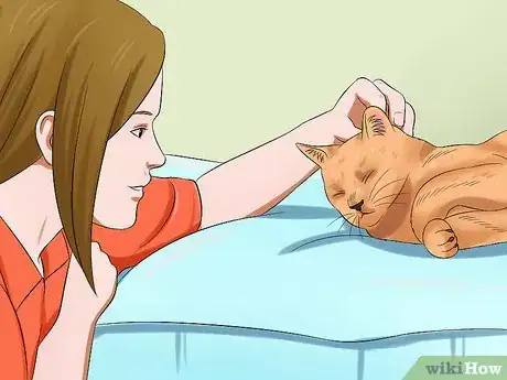 Image titled Get Your Cat to Stand Up Step 3